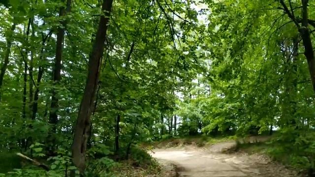 Едем в Ундоры и Сланцевый рудник ! смотреть онлайн