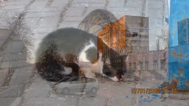 Прогулка, фото 07.01.2022 смотреть онлайн