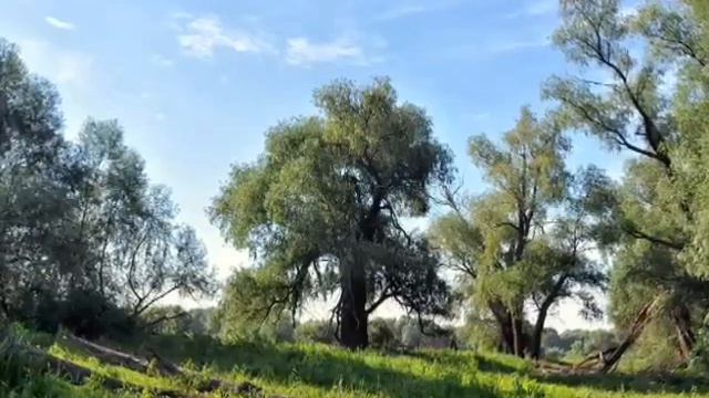 Природа Борисоглебск смотреть онлайн