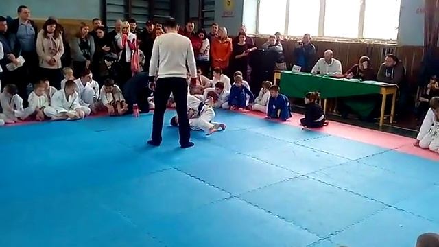 Джиу джитсу городиский иван