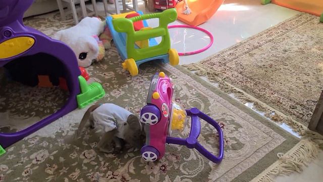 Бой без правил!! Всем хорошего настроения!!! 14.01.24 смотреть онлайн