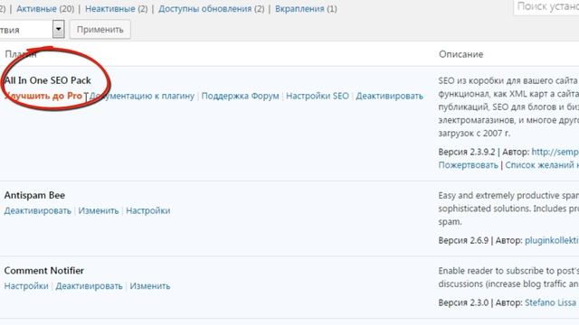 Формируем правильные URL и мета теги на WordPress смотреть онлайн