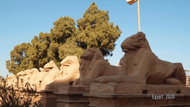 Egypt 2020 смотреть онлайн