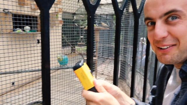 DISPOSABLE CAMERA CHALLENGE | Kodak VS Fujifilm смотреть онлайн