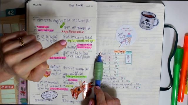 Заполняем ежедневник MOLESKINE вместе Март + подготовка к экзамену || MagisterOfBeauty смотреть онлайн