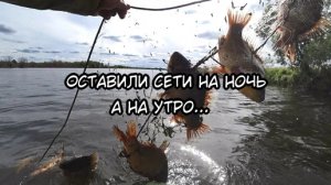 Оставили сети на ночь! На утро были приятно удивлены. Рыбалка на сети. Весенняя рыбалка 2022