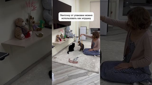 Главный инсайт покупки букета 🌷Перешли подруге, у которой есть кот. Ведь актуально перед 8 марта? смотреть онлайн