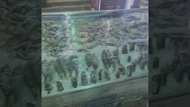 Хадаба - куда сходить? Морепродукты ? смотреть онлайн