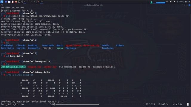 How to install burpsuite pro and configure on kali linux || how do I setup a burp suite? 2023 смотреть онлайн