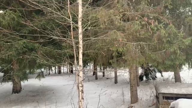 Покров 1672 смотреть онлайн