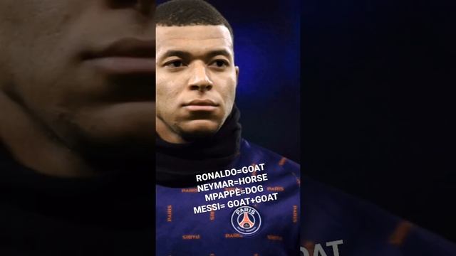 THE BEST PLAYERS ON THE PLANNET смотреть онлайн