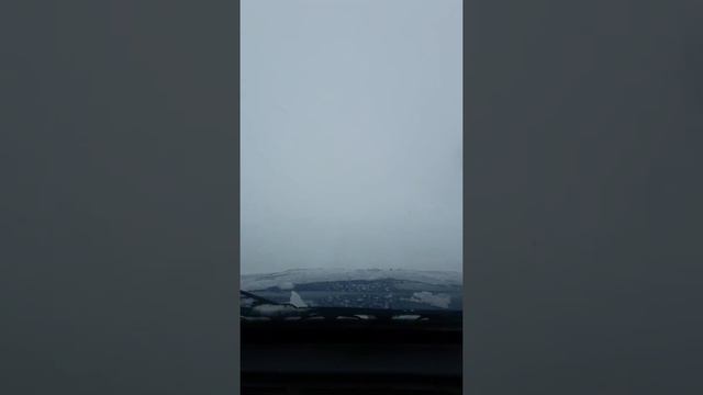 Дорога усть-таловка шемонаиха смотреть онлайн