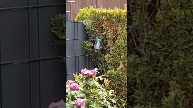 Вот так зарождалась любовь и закончилась свадьбой смотреть онлайн