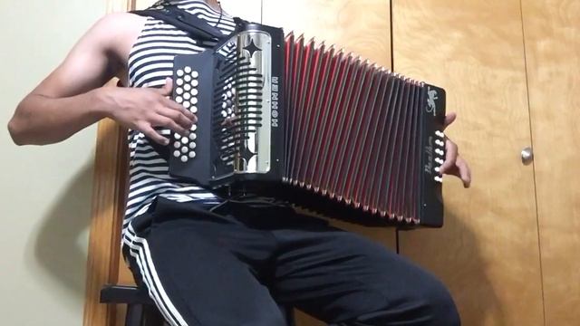 The Battle is Going Again - Accordion смотреть онлайн