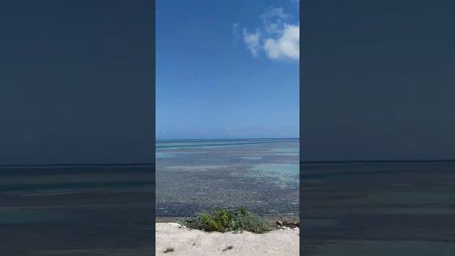 Дорога на остров Кайо Гильермо, Куба (февраль 2021) смотреть онлайн