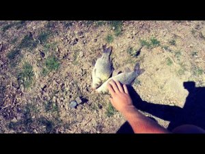 Ловля карася на жмых. Донка. Жмыхоловка. Мото рыбалка. Ловля густеры на опарыша.