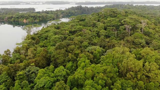 Drone | Singapore, Pulau Ubin смотреть онлайн