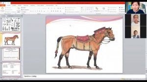 Ботай мәдениеті