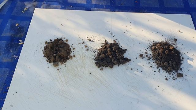 Обязательно вносите это осенью в почву. Земля осенью нуждается в известковании если... смотреть онлайн