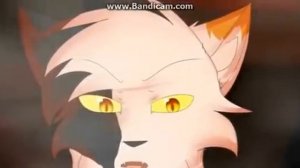 Коты воители песня "Страх"