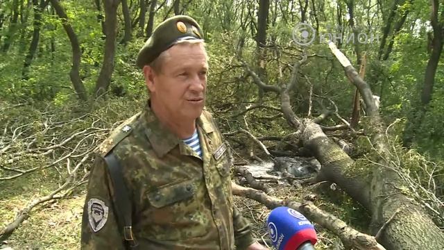 Неизвестные уничтожают 50-летние дубы, ясени и клёны смотреть онлайн