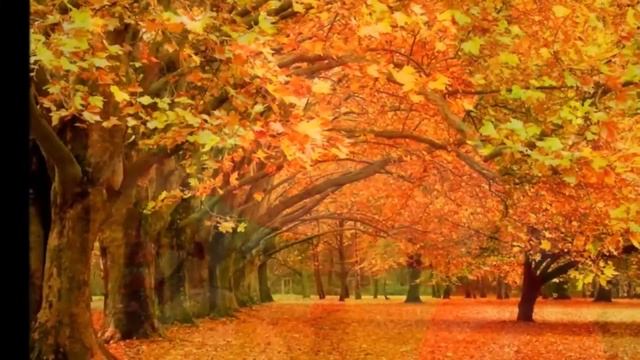 ОСЕНЬ - ШВЕЯ. смотреть онлайн