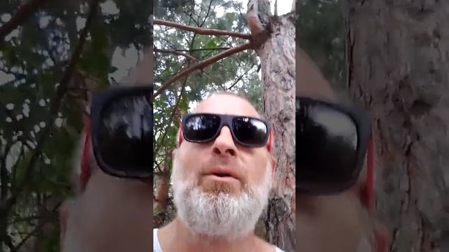 Как стать великим художником ? смотреть онлайн