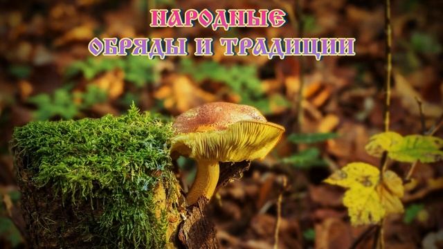 Тит Листопадник ? Святой Тит последний гриб растит #православие #народныйпраздник #житиясвятых смотреть онлайн