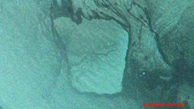 Путешествие в сказку! Горный Алтай, Гейзерное озеро, Великий водопад УЧАР с высоты птичьего полета!