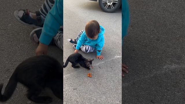 Играет с котенком #дети #мирка #котенок #cat #nature #play #summer смотреть онлайн
