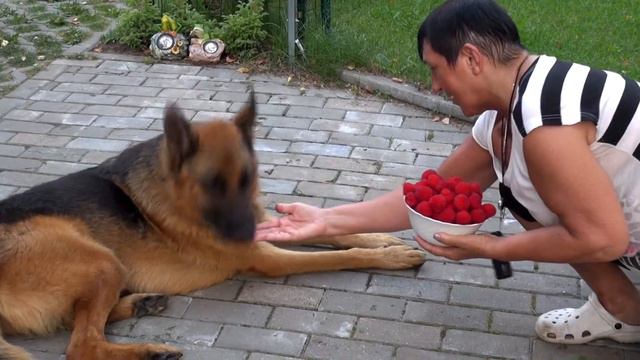 Алла,Лео и малика для ЮТ смотреть онлайн