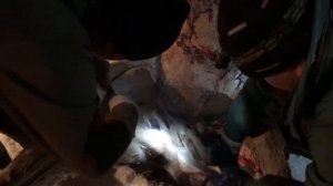 Охота на лося  Разделка лося  Тестирование ножей Рысь и Боровик  Ножевая мастерская Медведь