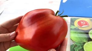 ДРЕВНЕЕ СЕРДЦЕ АКВИ ТЕРМЕ // обзор томата с дегустацией // ВЫСЫЛАЮ СЕМЕНА