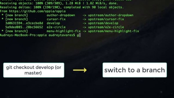 How to update a GitHub forked repository