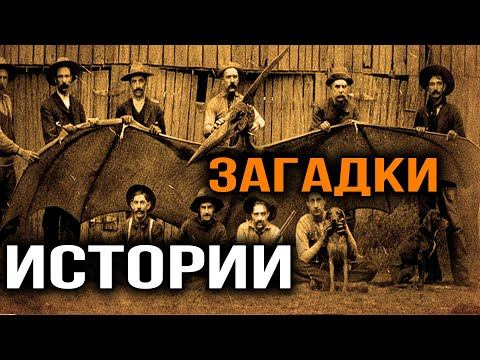 Невероятно, но факт? смотреть онлайн