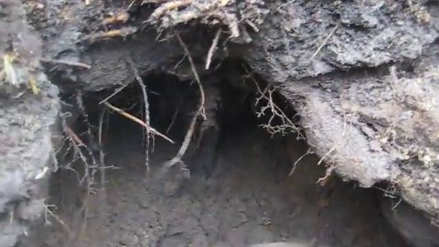 охота зимняя барановка 2010 063 смотреть онлайн