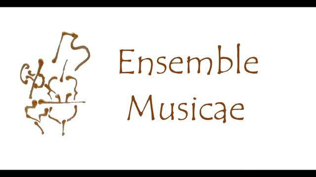 Mozart Trio K 502 - Ensemble Musicae смотреть онлайн