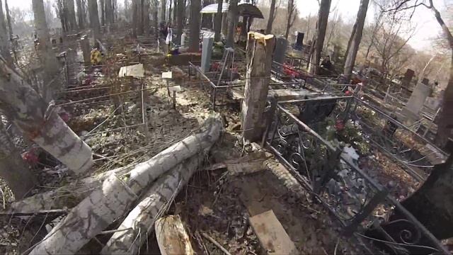 Как спилить дерево на кладбище без автовышки? Это задача для профессиональных арбористов. смотреть онлайн