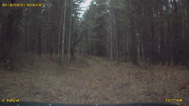 На Ниве Щербаковский лес смотреть онлайн