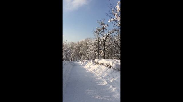 Зима. Февраль 2018. Ангарский парк. Москва смотреть онлайн