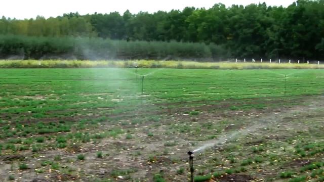 Как работает дождеватель 961P