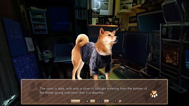 A Summer With The Shiba Inu! Part 1 смотреть онлайн