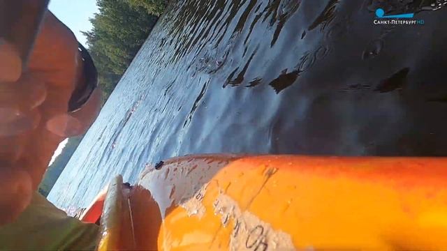 Главное - баланс и правильная разминка! Осваиваем спортивную греблю смотреть онлайн