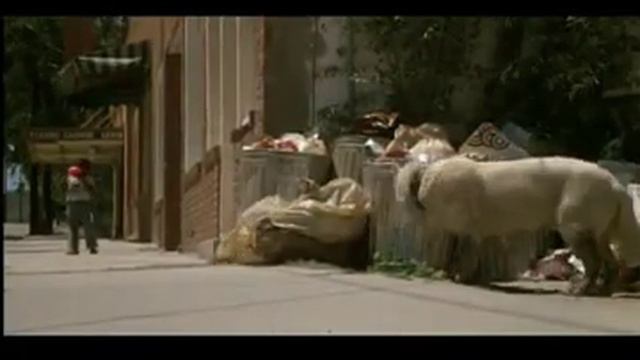 white dog смотреть онлайн