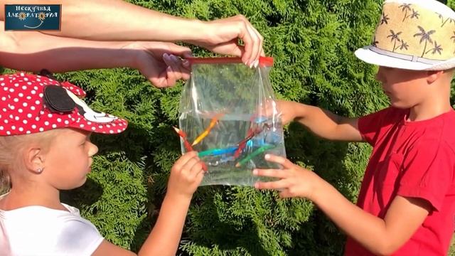 Опыт с водой для детей «Почему дырявый пакет не протекает?!» смотреть онлайн