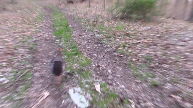 Our Final Day In West Virginia Was INTENSE! | Bco Hunts |