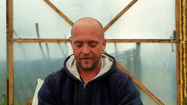 Размножение малины крапивкой. смотреть онлайн