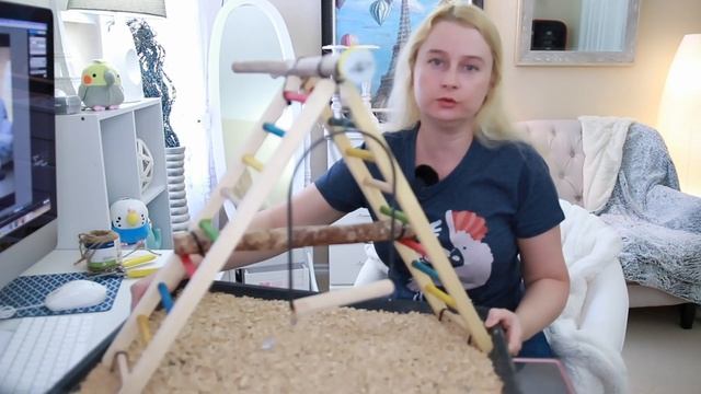 КАК СДЕЛАТЬ ИГРОВОЙ СТЕНД ДЛЯ ПОПУГАЯ СВОИМИ РУКАМИ DIY смотреть онлайн
