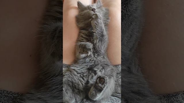 чистота залог здоровья смотреть онлайн