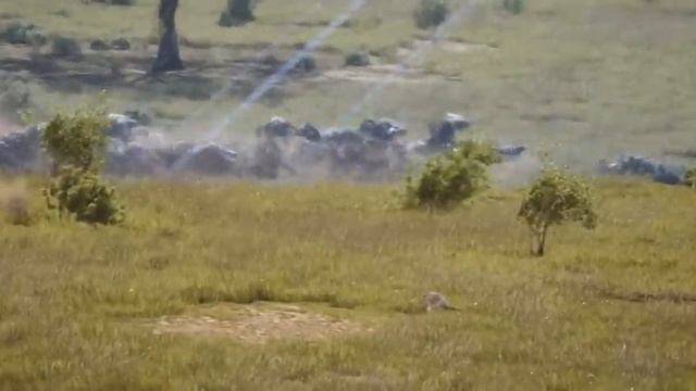 Avengers Infinity War 2018 Wakanda Battle HD